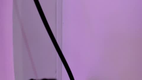 Sabrina Warren online show from January 23, 5:52 pm