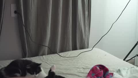 An  online show from January 15, 4:32 am