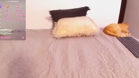 Samblack Briana online show from January 13, 2:50 am