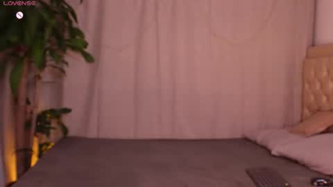 Sammy online show from December 4, 3:06 am