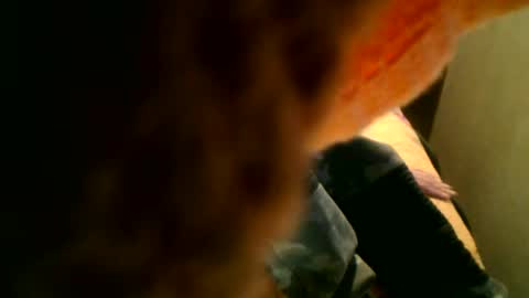 samueltal online show from November 6, 9:29 pm