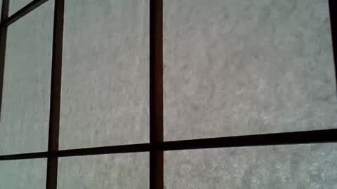 ssk online show from April 11, 4:50 am