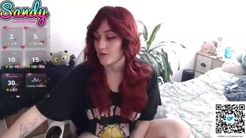 Sandy Prinss online show from March 1, 3:49 pm