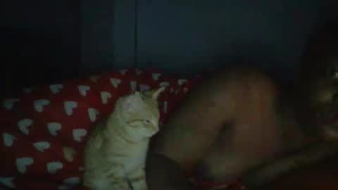 sapgaal online show from January 17, 2:43 am