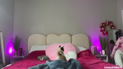 Back from Vacay  Follow for more here  online show from March 4, 9:22 pm