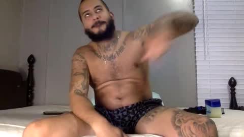 savagebullxxx online show from January 13, 2:50 am