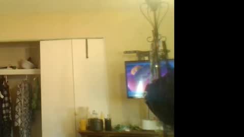 SavageRager online show from October 28, 9:27 pm