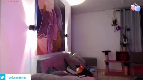 Savannaredhair 33 Angelebony33 online show from September 10, 11:28 pm