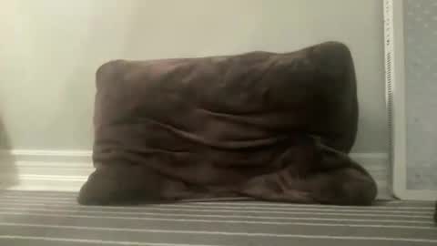 sawacrash online show from January 6, 11:14 am