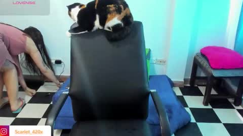 Scarlett online show from March 19, 8:47 pm