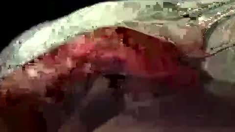 scottyc48 online show from November 16, 6:15 am