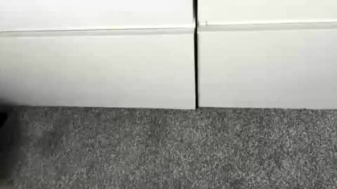 scottyc48 online show from January 7, 2:44 pm