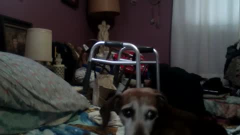 Snapshot of seanstiffy3916 chatting on September 16, 5:38 pm seanstiffy3916 online show from September 16, 5:38 pm