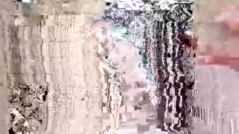 seb97400 online show from April 20, 8:28 am