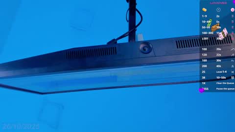 Sebastian online show from October 26, 9:25 pm