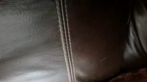 Sunny online show from October 10, 3:45 am