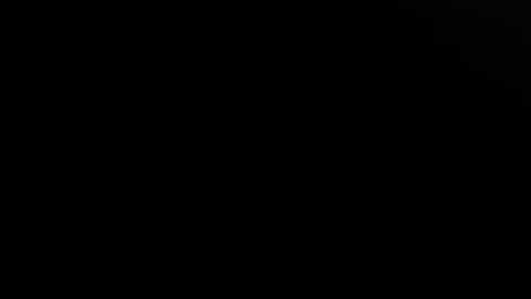 Cherry online show from January 15, 10:24 am