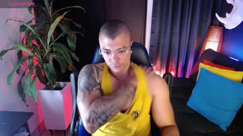 sed online show from January 17, 8:45 am