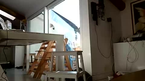 Grade2 online show from November 27, 8:55 am