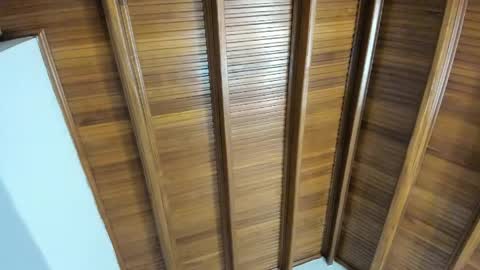 Selene online show from April 5, 7:44 pm