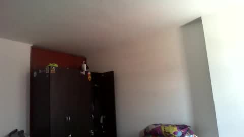 semental24cm online show from December 17, 2:02 pm