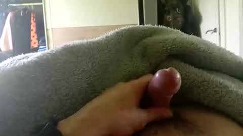 sementalxcam online show from February 22, 2:52 pm