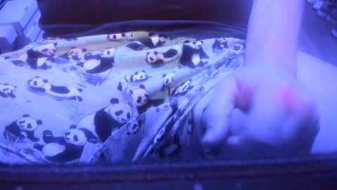 sensiblecastle online show from March 28, 7:10 am