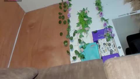 sexking_david online show from January 9, 9:20 pm