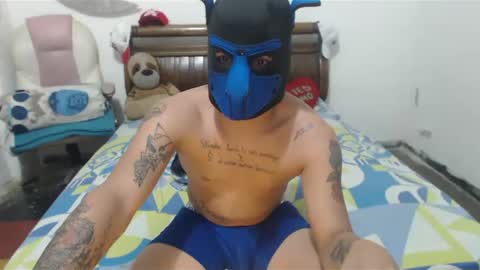thiago online show from February 22, 7:34 am