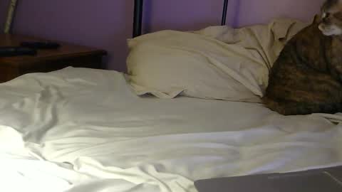 sexxxylibra10 online show from April 25, 7:55 pm