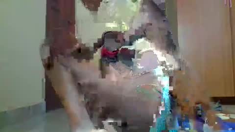 Sexybilha483 online show from February 22, 11:57 am