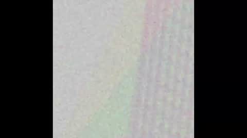 Possum online show from December 1, 6:11 am