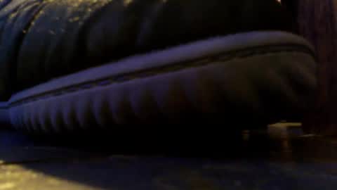 shagz2much online show from March 3, 2:49 pm