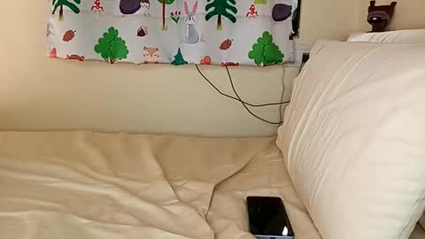 Shanaya Kappor online show from December 1, 9:51 am