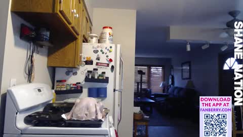 shanestickrod online show from February 18, 11:15 pm