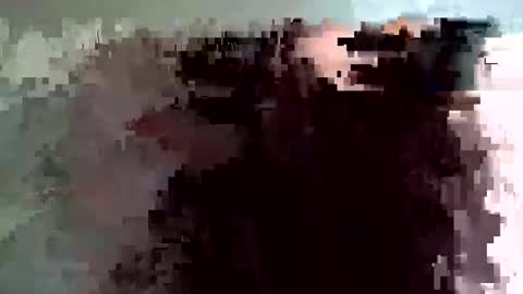 shelfeesh online show from November 18, 9:34 am