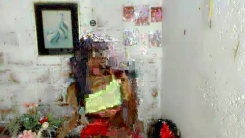 shellmy online show from December 7, 4:09 pm