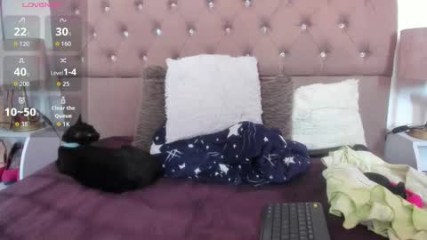 shera hade online show from September 11, 4:08 pm