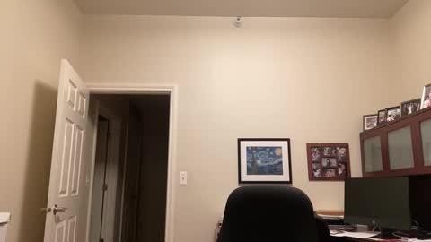 Chicago Guy online show from January 12, 3:17 am