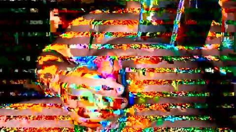 showmeyourwife01 online show from June 16, 7:51 pm