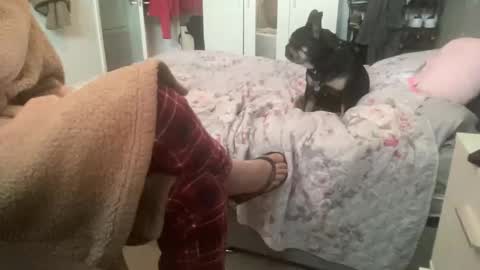 shyboy0533 online show from November 3, 10:49 am