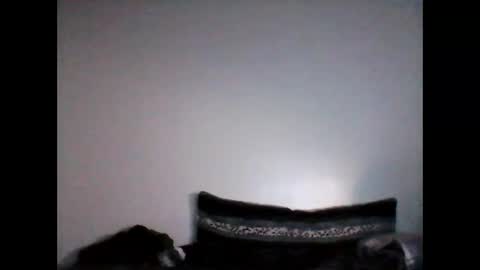 shyboyhugecum2020 online show from December 7, 4:04 am