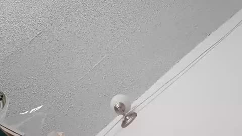 Bush with a class 3 rating online show from February 22, 8:00 pm