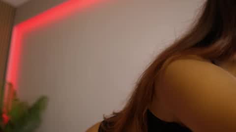 Dee online show from November 16, 8:33 pm