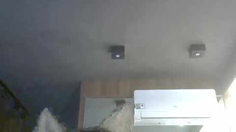 skinnykittencam online show from November 18, 12:52 pm