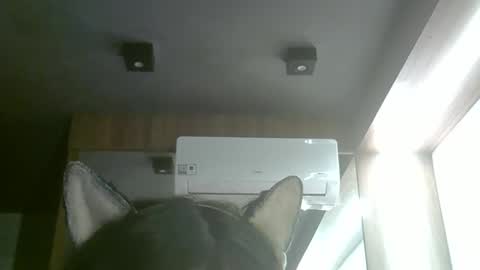 skinnykittencam online show from June 5, 3:50 pm