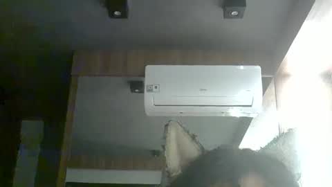 skinnykittencam online show from January 9, 5:02 am