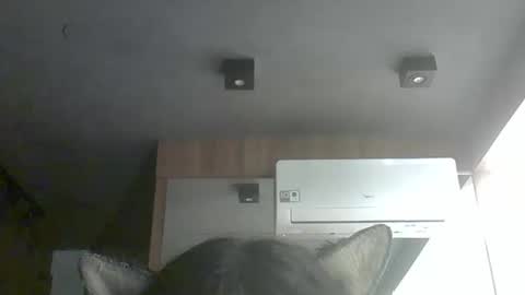 skinnykittencam online show from February 2, 3:59 am