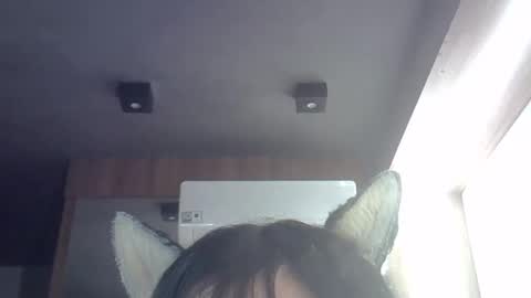 skinnykittencam online show from March 31, 12:38 pm