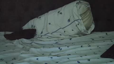 slim long01 online show from October 6, 11:39 am